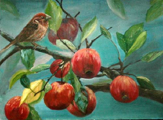 Bird-in-Pomegranate-tree